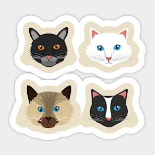 Cats collection Sticker